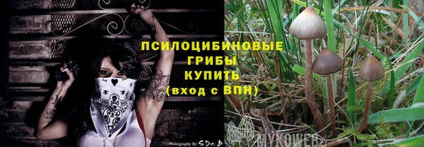PSILOCYBIN Балахна