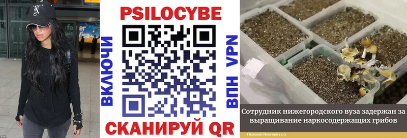 Галлюциногенные грибы прущие грибы купить наркотик Грязи